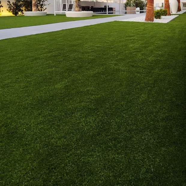 Villa Outdoor Area and Passage with 2011 Evergreen Artificial Grass Carpet