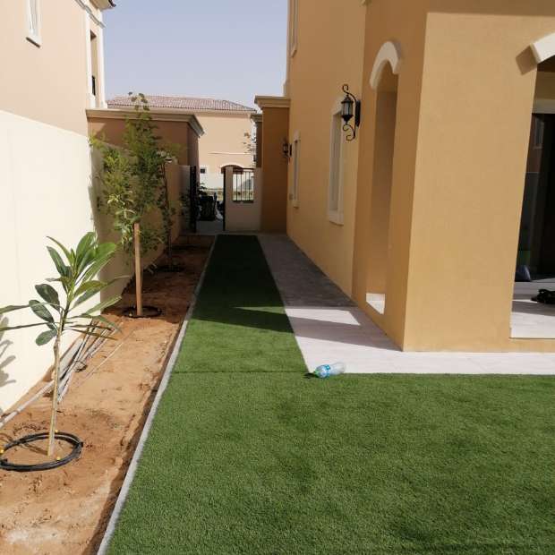 Synthetic grass Installed In Outdoor Area