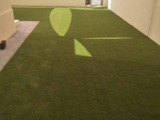 Elixir Grass