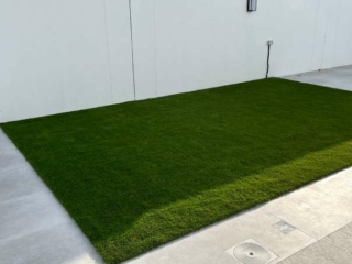 Elixir Grass