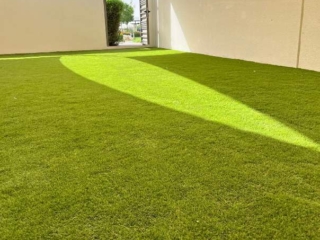 Elixir Grass