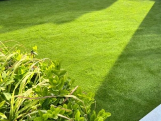A lush and vibrant garden adorned with high-quality artificial grass in Dubai UAE