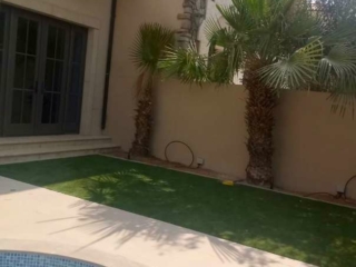 Elixir Grass