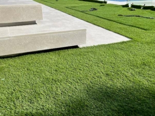 Elixir Grass