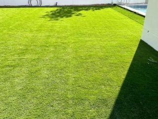 Elixir Grass