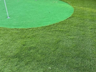 Elixir Grass