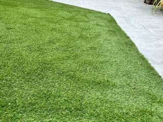 Elixir Grass