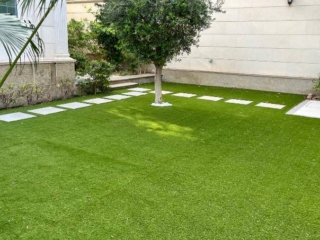 Elixir Grass