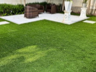 Elixir Grass