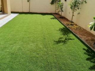 Elixir Grass