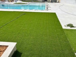 Elixir Grass