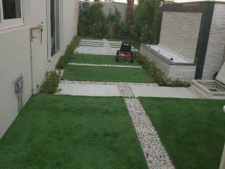 Elixir Grass