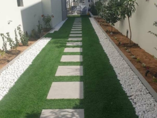 Elixir Grass