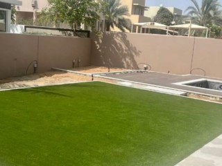 Elixir Grass