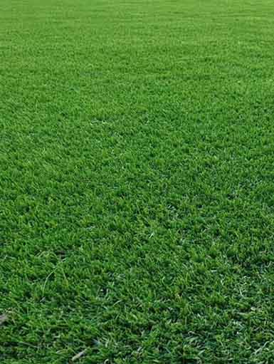 Synthetic grass in Dubai, UAE (Abu Dhabi, Sharjah, Ajman, Umm Al Quwain, Ras Al Khaimah and Fujairah)