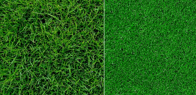 Artificial Grass vs. Natural Grass: Which One is Better for You?