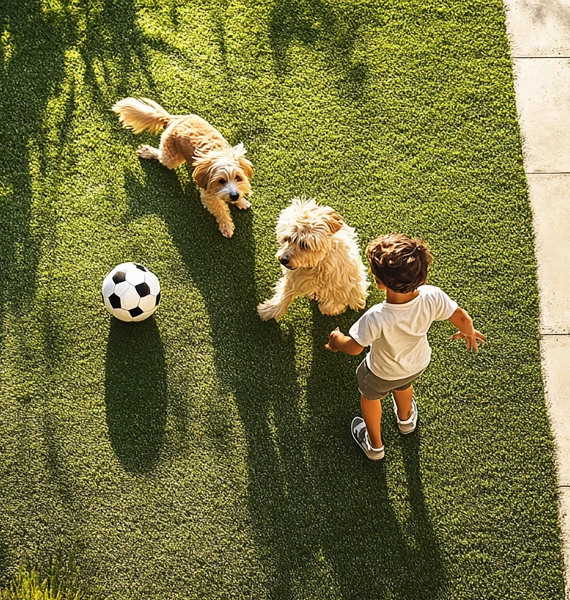 Artificial Grass For Pets And Kids
