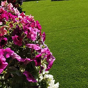 Garden with artificial grass installed in Dubai