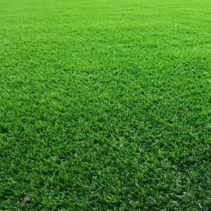 Elixir artificial grass carpet in Dubai, UAE