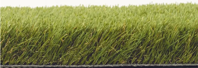 Elixir 2011 Evergreen Artificial Grass