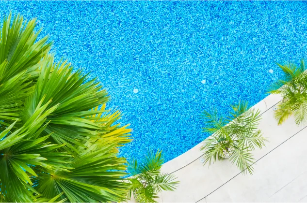Tropical greenery surrounding clear blue water finished with premium Elixir pool tile, designed in Dubai.