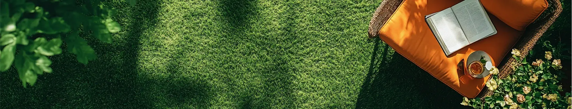 A chair placed on Elixir grass